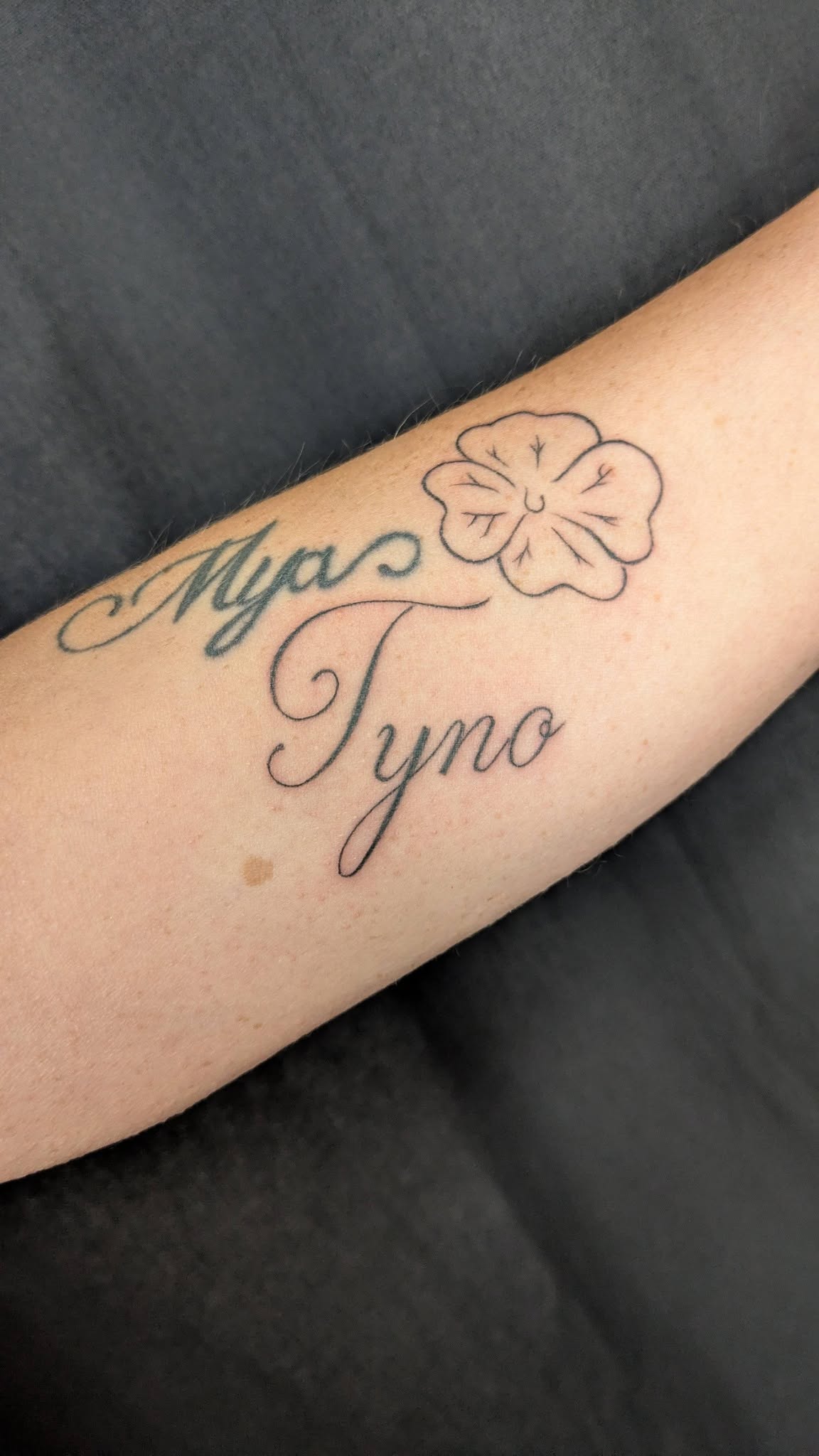 Tatouage Le Bocal