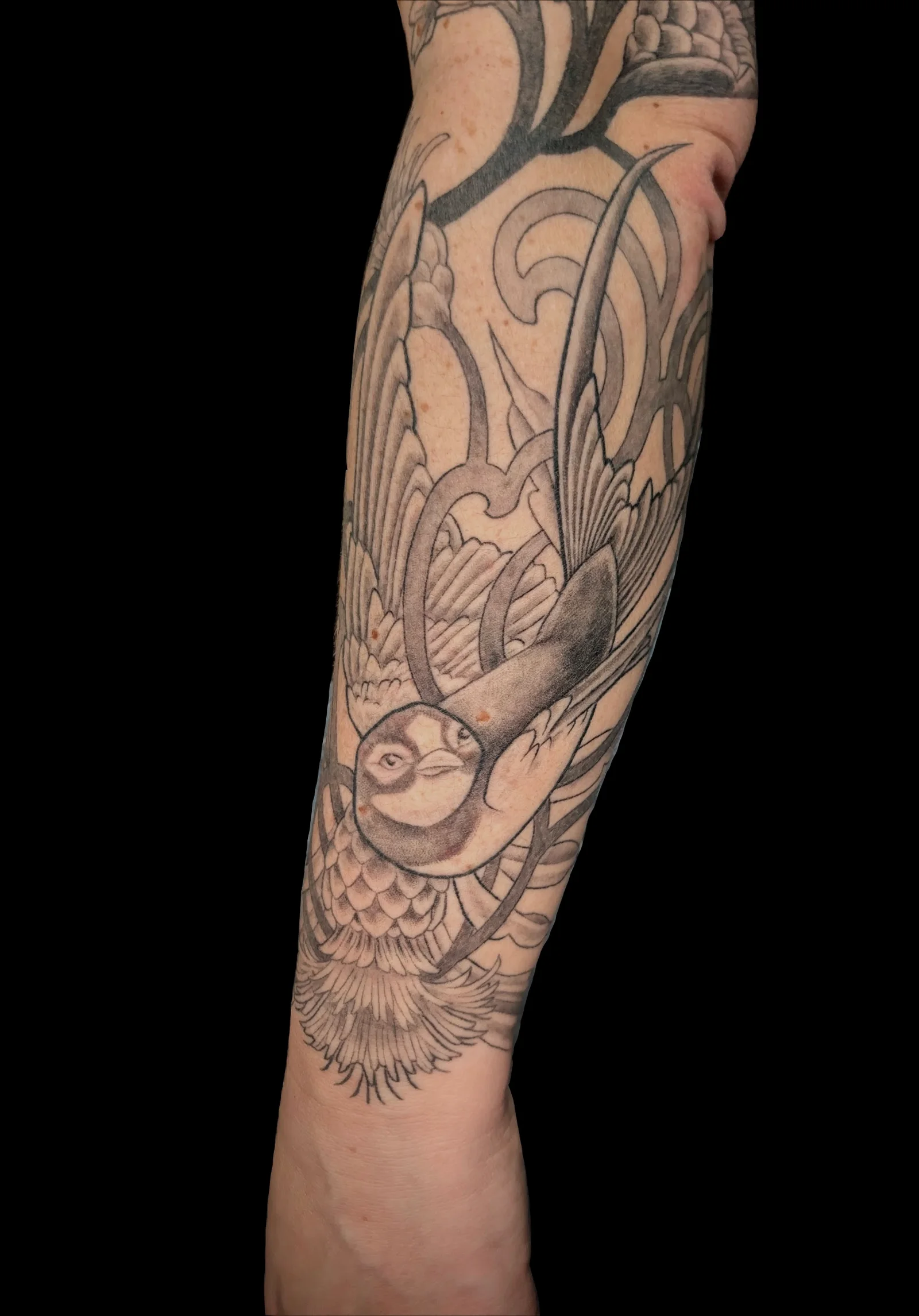Tatouage par Alicia de la Pécheresse