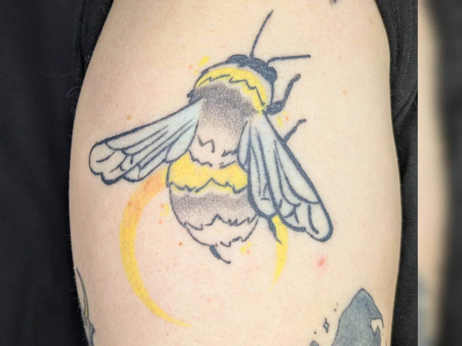 Tatouage par Lup'ink